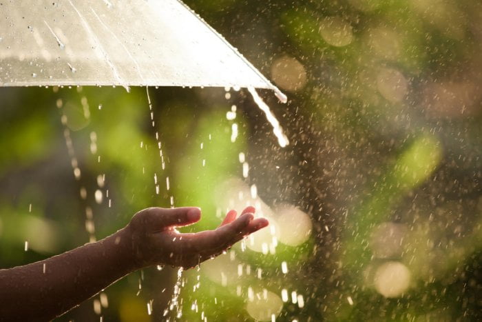 এবারে বর্ষাকালে বৃষ্টির পরিমাণ হবে স্বাভাবিকের তুলনায় কম।
