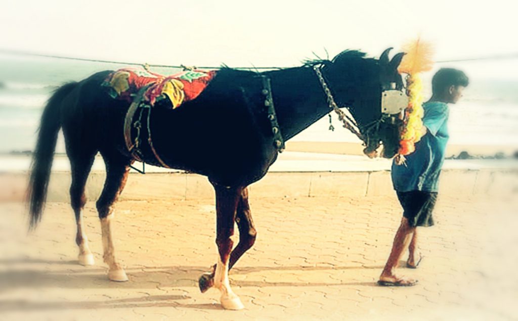 দূষণ রুখতে এবার থেকে দিঘাতে নিষিদ্ধ হলো ঘোড়া সওয়ারি৷ ক্ষুব্ধ ঘোড়া ব্যবসায়িরা। দূষণ রুখতে এবার থেকে দিঘাতে নিষিদ্ধ হলো ঘোড়া সওয়ারি৷ ক্ষুব্ধ ঘোড়া ব্যবসায়িরা।