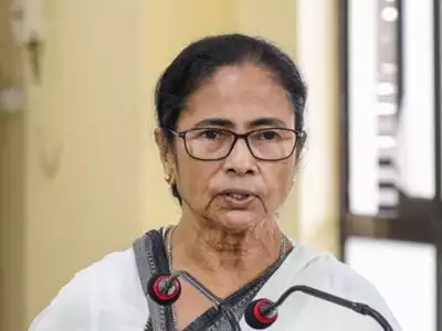 mamata