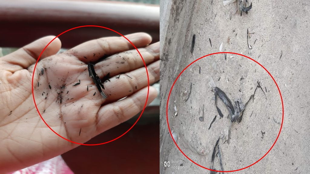করোনার আতঙ্কের মাঝেই গঙ্গার দুই পাড় জুড়ে অজানা ছাই বৃষ্টি, আতঙ্কিত সাধারণ মানুষ