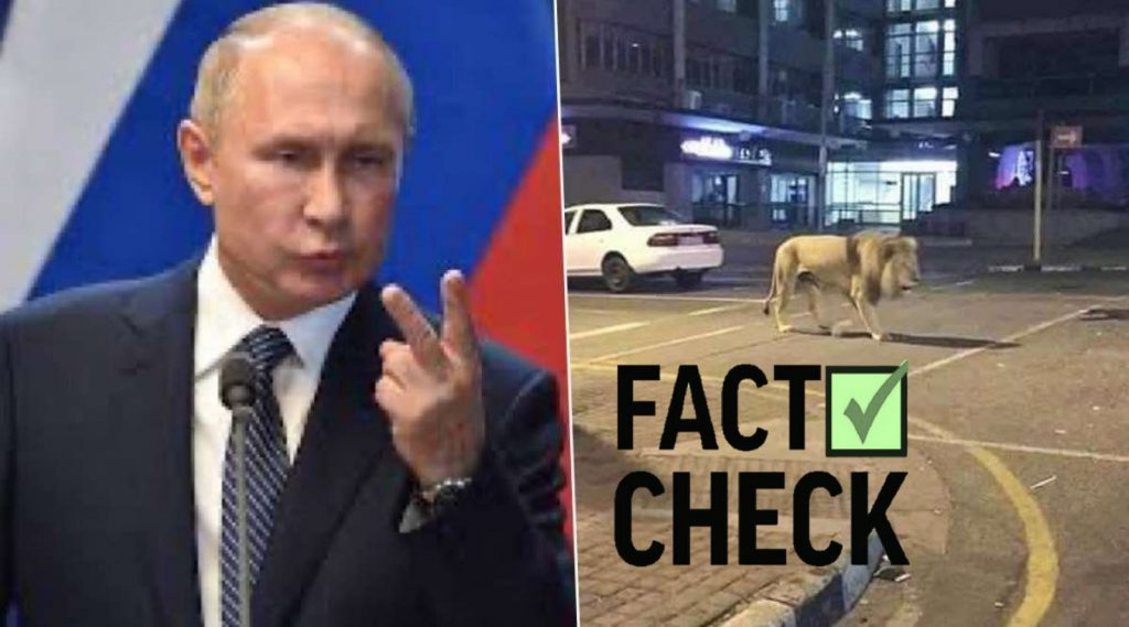 Fact Check: রাশিয়ার রাস্তায় ঘুরে বেড়াচ্ছে বাঘ-সিংহ, গুজবে মাতল নেটদুনিয়া