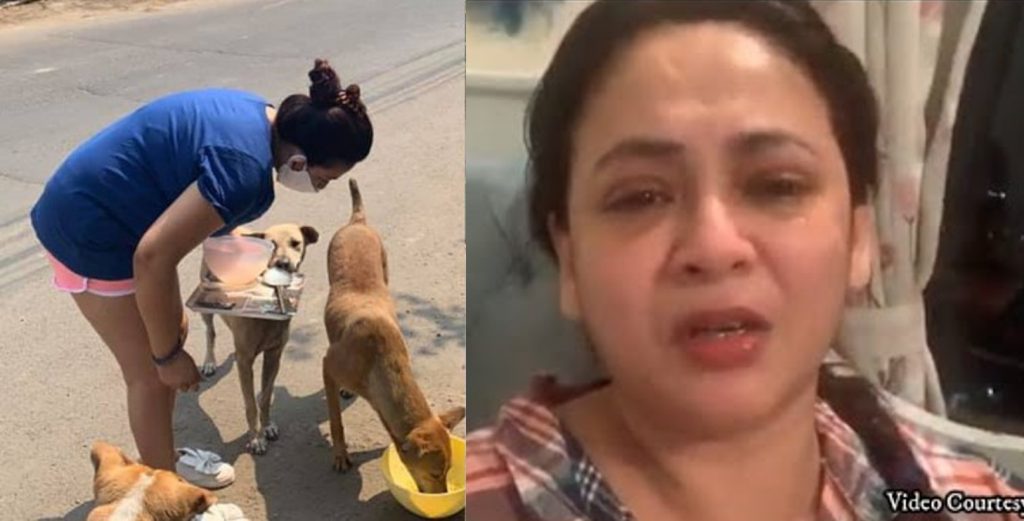 কুকুরদের খাওয়াতে গিয়ে হেনস্তার মুখে শ্রীলেখা: সোশ্যাল মিডিয়ায় শেয়ার করলেন ভিডিও কুকুরদের খাওয়াতে গিয়ে হেনস্তার মুখে শ্রীলেখা: সোশ্যাল মিডিয়ায় শেয়ার করলেন ভিডিও