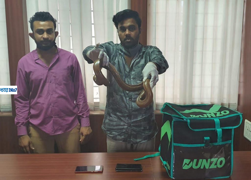 লকডাউনের মধ্যে সাপের ডেলিভারি দিতে এসে গ্রেপ্তার লকডাউনের মধ্যে সাপের ডেলিভারি দিতে এসে গ্রেপ্তার