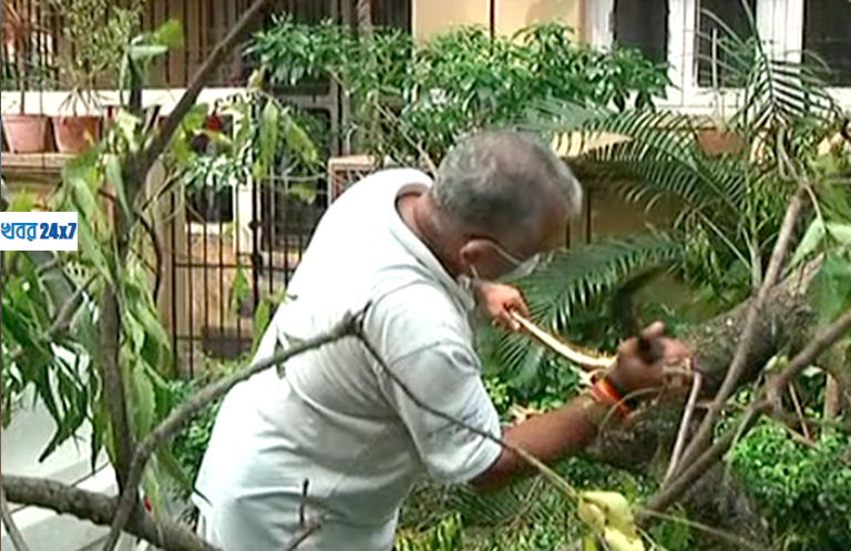 রাজ্য সরকারকে সাহায্য করতে কখনও দা, কখনও কুড়ুল হাতে গাছ কাটলেন দিলীপ ঘোষ! রাজ্য সরকারকে সাহায্য করতে কখনও দা, কখনও কুড়ুল হাতে গাছ কাটলেন দিলীপ ঘোষ!