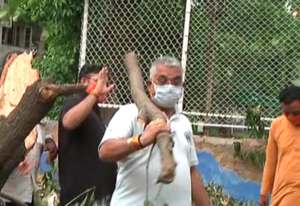 রাজ্য সরকারকে সাহায্য করতে কখনও দা, কখনও কুড়ুল হাতে গাছ কাটলেন দিলীপ ঘোষ! রাজ্য সরকারকে সাহায্য করতে কখনও দা, কখনও কুড়ুল হাতে গাছ কাটলেন দিলীপ ঘোষ!
