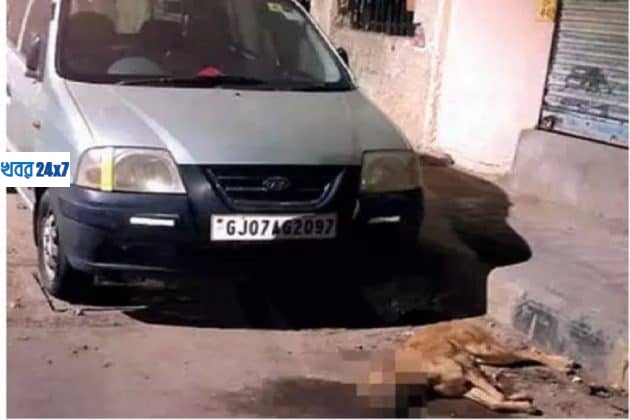 গাড়ির মাথায় বসত, এই 'অপরাধ' কুকুরকে গুলি করে খুন গাড়ির মালিকের গাড়ির মাথায় বসত, এই 'অপরাধ' কুকুরকে গুলি করে খুন গাড়ির মালিকের