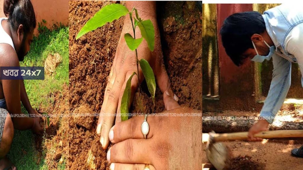 টিসিএসডি দুর্গাপুর শাখায় শত চারা রোপনের মাধ্যমে উদযাপন বিশ্ব পরিবেশ দিবস টিসিএসডি দুর্গাপুর শাখায় শত চারা রোপনের মাধ্যমে উদযাপন বিশ্ব পরিবেশ দিবস
