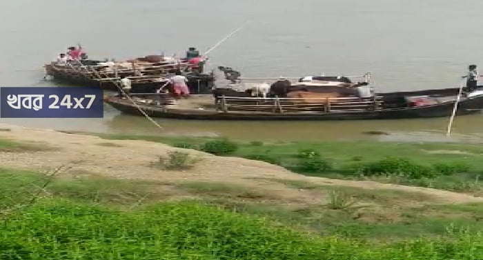 Cattle Smuggling