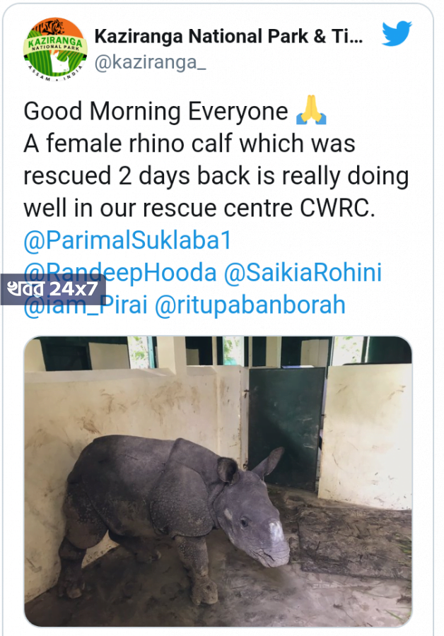 বন্যার জলে মায়ের থেকে আলাদা হয়ে এখন কাজিরাঙ্গায় বনদপ্তরের তত্ত্বাবধানে ছোট্ট শাবক বন্যার জলে মায়ের থেকে আলাদা হয়ে এখন কাজিরাঙ্গায় বনদপ্তরের তত্ত্বাবধানে ছোট্ট শাবক