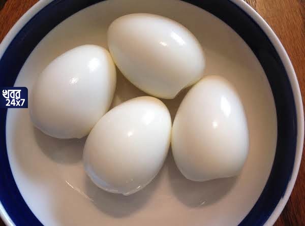 egg