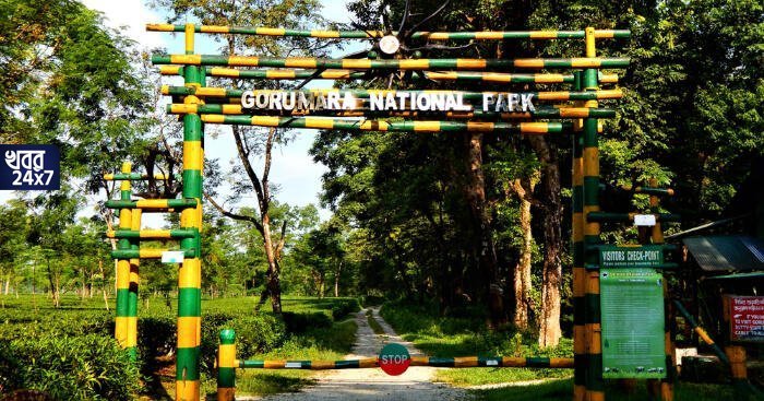 gorumara national park