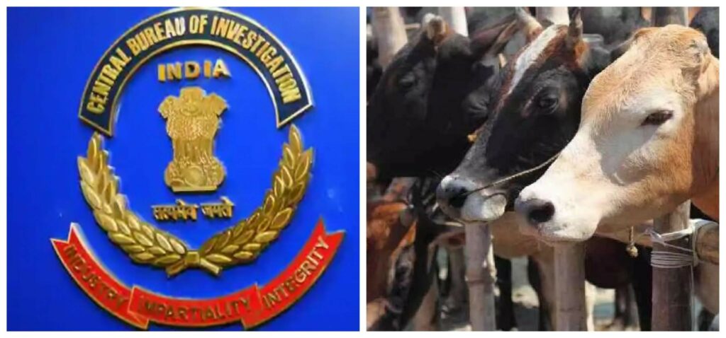 মধ্যরাতের কলকাতায় পুলিশের জালে আটক পাঁচ 'সিবিআই' কর্তা! 