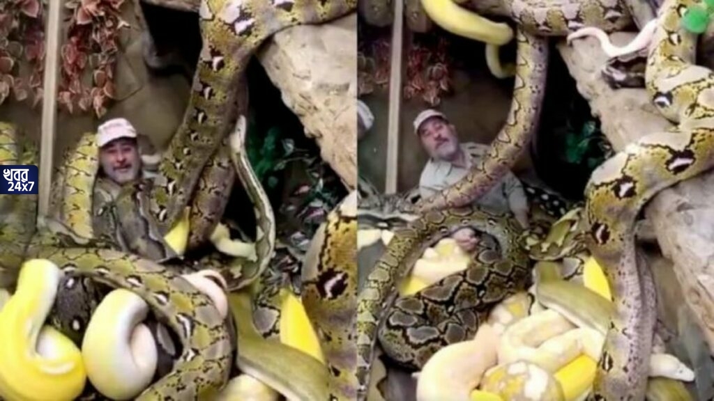 অ্যানাকোন্ডাদের ডেরায় ঢুকে পড়লেন এক ব্যক্তি, জাপটে ধরল কয়েকটা সাপ, তারপর? দেখুন হাড়হিম করা ভিডিও অ্যানাকোন্ডাদের ডেরায় ঢুকে পড়লেন এক ব্যক্তি, জাপটে ধরল কয়েকটা সাপ, তারপর? দেখুন হাড়হিম করা ভিডিও