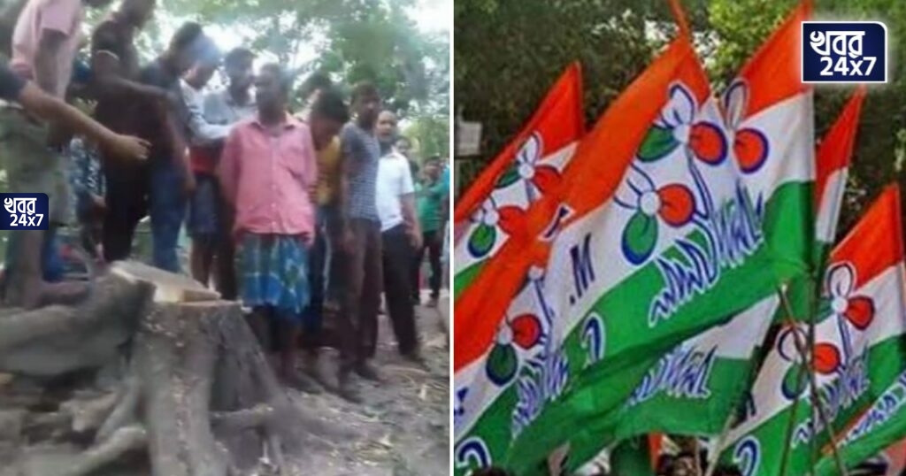 নির্বাচন বড় বালাই! ভোটের খরচ জোগাতে সরকারি গাছ কেটে বিক্রির অভিযোগ তৃণমূলের বিরুদ্ধে নির্বাচন বড় বালাই! ভোটের খরচ জোগাতে সরকারি গাছ কেটে বিক্রির অভিযোগ তৃণমূলের বিরুদ্ধে