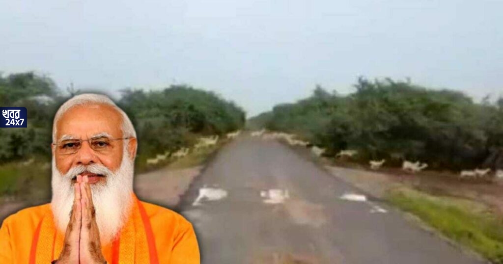 রাস্তায় ছুটছে হাজার হাজার কৃষ্ণসার হরিণ, দেখে মুগ্ধ হয়ে টুইট করলেন প্রধানমন্ত্রী রাস্তায় ছুটছে হাজার হাজার কৃষ্ণসার হরিণ, দেখে মুগ্ধ হয়ে টুইট করলেন প্রধানমন্ত্রী