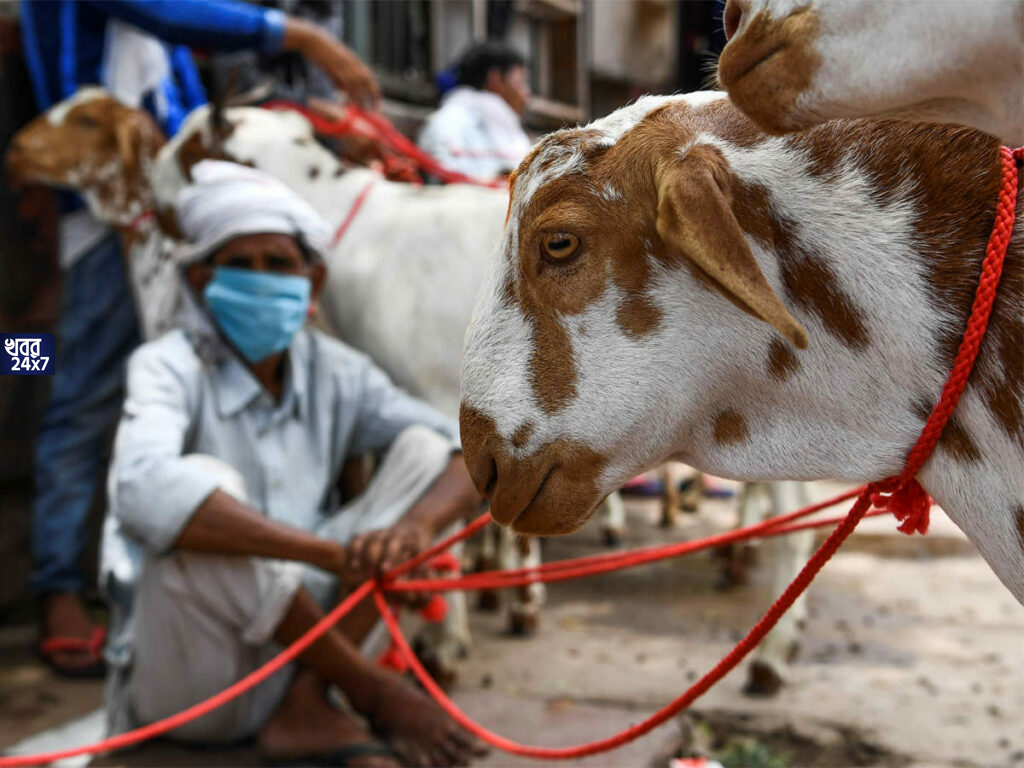 বকরি ইদে হবে না কুরবানি, ভারত সরকারের পাঠানো চিঠিতে কড়া পদক্ষেপ নিল জম্মু-কাশ্মীর প্রশাসন বকরি ইদে হবে না কুরবানি, ভারত সরকারের পাঠানো চিঠিতে কড়া পদক্ষেপ নিল জম্মু-কাশ্মীর প্রশাসন