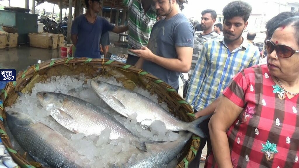 চার কেজি ওজনের রানী ইলিশ! সামনে থেকে দেখার হিড়িক সকলের মধ্যেই