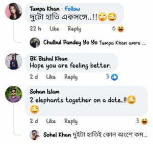 'দুটো হাতি এক ফ্রেমে', হাতির সঙ্গে ছবি পোস্ট করে তীব্র কটাক্ষের শিকার শ্রাবন্তী!