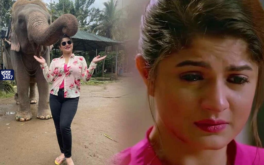 'দুটো হাতি এক ফ্রেমে', হাতির সঙ্গে ছবি পোস্ট করে তীব্র কটাক্ষের শিকার শ্রাবন্তী!