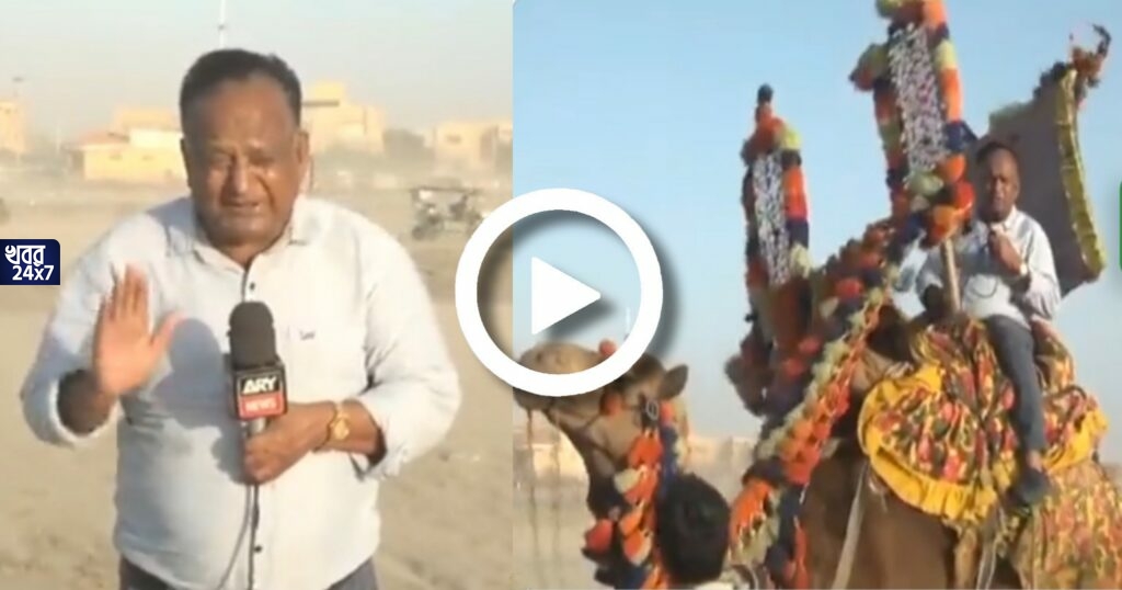 ‘রোগা-দুর্বল মানুষরা উড়ে যেতে পারেন’, উটের পিঠে চেপে আবহাওয়ার রিপোর্টিং করে ফের ভাইরাল পাকিস্তানের সাংবাদিক চাঁদ নবাব ‘রোগা-দুর্বল মানুষরা উড়ে যেতে পারেন’, উটের পিঠে চেপে আবহাওয়ার রিপোর্টিং করে ফের ভাইরাল পাকিস্তানের সাংবাদিক চাঁদ নবাব