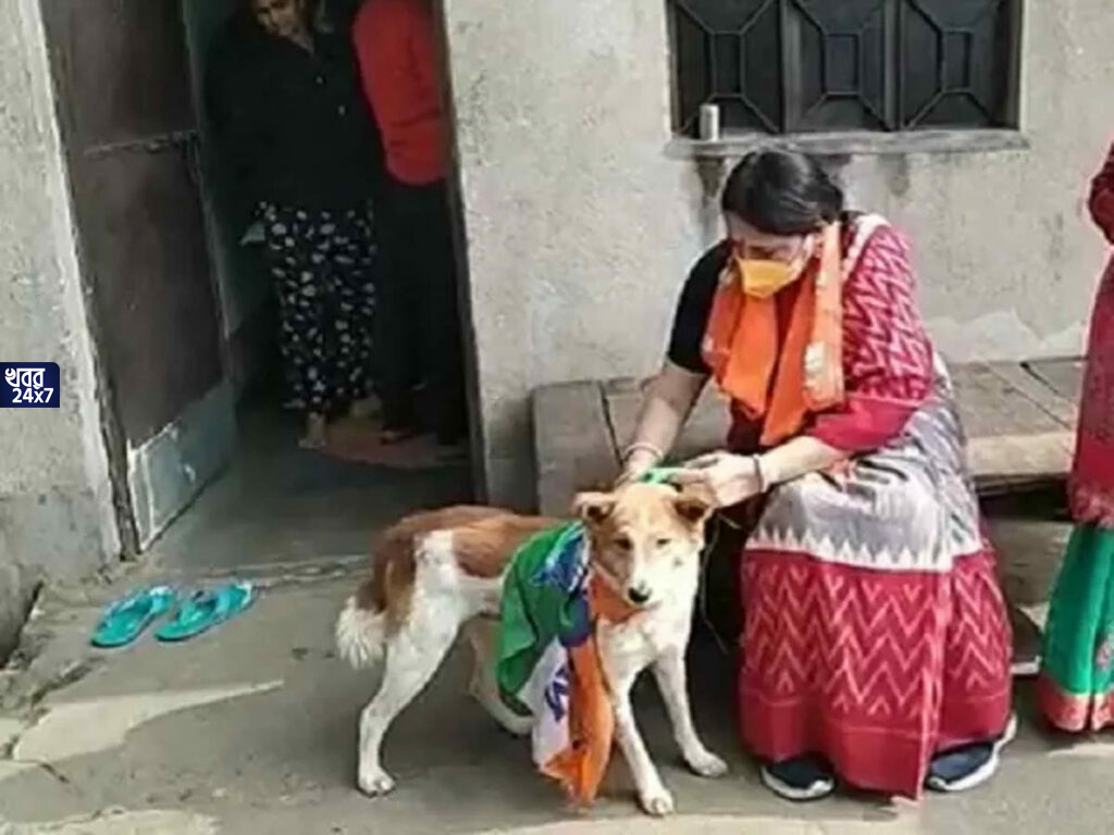 রাজনৈতিক সৌজন্যতা অগ্নিমিত্রার! সারমেয়র গায়ে তৃণমূলের পতাকা বাঁধা দেখে যত্ন নিয়ে খুলে রাখলেন বিজেপি নেত্রী রাজনৈতিক সৌজন্যতা অগ্নিমিত্রার! সারমেয়র গায়ে তৃণমূলের পতাকা বাঁধা দেখে যত্ন নিয়ে খুলে রাখলেন বিজেপি নেত্রী