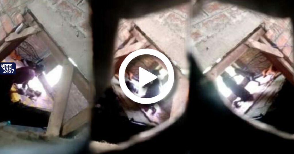 ছোট্ট ২ বছরের শিশুকে বেধড়ক মারধর মায়ের, কিল-চড়-লাথি, প্রতিবেশীরা প্রতিবাদ করলে অশ্রাব্য ভাষায় গালিগালাজ, ভয়ংকর ভিডিও ছোট্ট ২ বছরের শিশুকে বেধড়ক মারধর মায়ের, কিল-চড়-লাথি, প্রতিবেশীরা প্রতিবাদ করলে অশ্রাব্য ভাষায় গালিগালাজ, ভয়ংকর ভিডিও