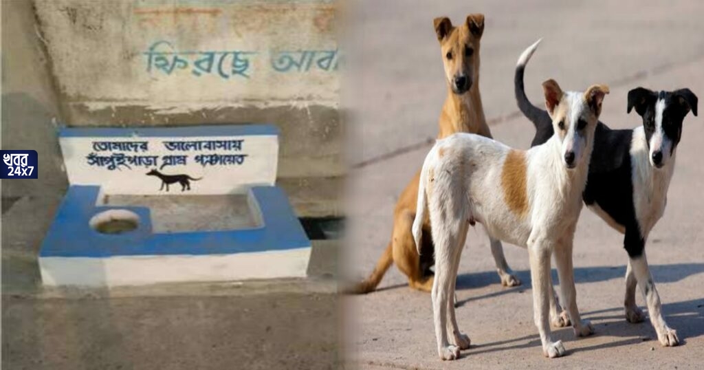 জীবপ্রেম! পথকুকুরদের জন্য এক মহান উদ্যোগ নিল হাওড়া পঞ্চায়েত, সারমেয়দের খাবার ও জলের জন্য তৈরি হল আলাদা জায়গা জীবপ্রেম! পথকুকুরদের জন্য এক মহান উদ্যোগ নিল হাওড়া পঞ্চায়েত, সারমেয়দের খাবার ও জলের জন্য তৈরি হল আলাদা জায়গা