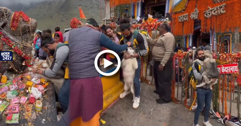 যত কাণ্ড কেদারনাথে! কেদারনাথ মন্দিরে পোষ্য কুকুরকে নিয়ে যাওয়ায় দায়ের করা হল FIR, ঘটনাকে ঘিরে তুমুল শোরগোল যত কাণ্ড কেদারনাথে! কেদারনাথ মন্দিরে পোষ্য কুকুরকে নিয়ে যাওয়ায় দায়ের করা হল FIR, ঘটনাকে ঘিরে তুমুল শোরগোল