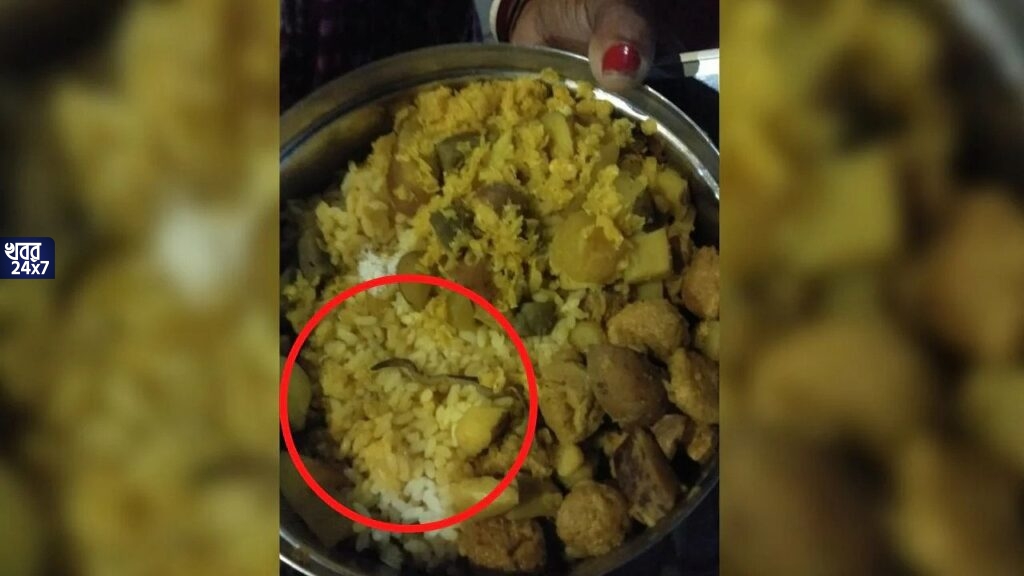 ভয়ংকর কাণ্ড! রাজ্যের সরকারি হাসপাতালে শিশুর জন্য দেওয়া খাবারে মরা কেঁচো, তুমুল শোরগোল হাসপাতাল জুড়ে ভয়ংকর কাণ্ড! রাজ্যের সরকারি হাসপাতালে শিশুর জন্য দেওয়া খাবারে মরা কেঁচো, তুমুল শোরগোল হাসপাতাল জুড়ে