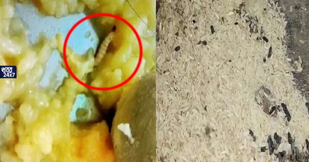 অঙ্গনওয়াড়ি কেন্দ্রের মিড ডে মিলের খাবারে কিলবিল করছে পোকা, খাবারের মধ্যে আরশোলা-টিকটিকির বিষ্ঠা, বিক্ষোভ অভিভাবকদের অঙ্গনওয়াড়ি কেন্দ্রের মিড ডে মিলের খাবারে কিলবিল করছে পোকা, খাবারের মধ্যে আরশোলা-টিকটিকির বিষ্ঠা, বিক্ষোভ অভিভাবকদের