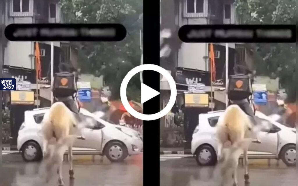 ঘোড়ায় চেপে খাবার দিচ্ছেন ডেলিভারি বয়, ভিডিও ভাইরাল হতেই ওই ব্যক্তিকে খুঁজছে নেটিজেনরা