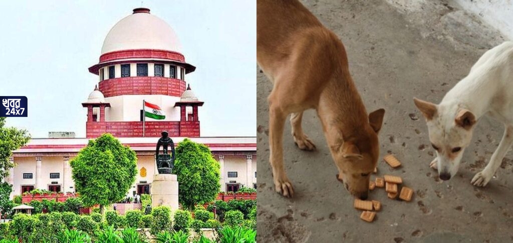 ‘পথকুকুর কামড়ালে তাকে যারা খেতে দেন তাদেরই দায় নিতে হবে’, আদৌ কী এই প্রস্তাব দিয়েছে সুপ্রিম কোর্ট? জানুন আসল সত্যি