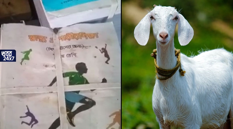 অবাক কাণ্ড! সরকারি বইয়ের গুদামেই চলছে ছাগল চাষ, বইখাতা ছিঁড়ে খাচ্ছে ছাগলের দল, মল-মূত্র মেশা বই পৌঁছচ্ছে পড়ুয়াদের হাতে