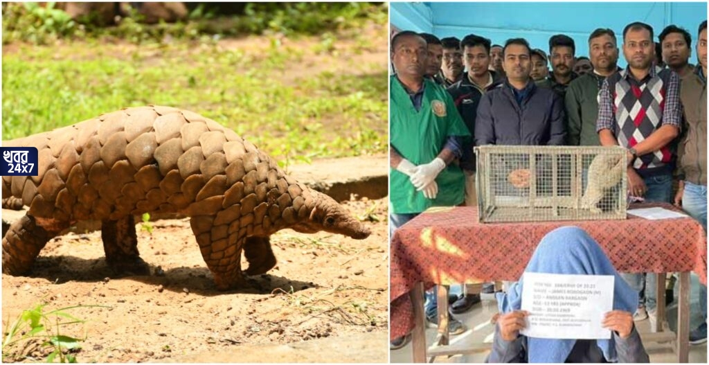 বিরল প্রজাতির প্যাঙ্গোলিন পাচারের চেষ্টা, হাতেনাতে ধরা পড়লেন তৃণমূল উপপ্রধান, ‘কঠোরতম শাস্তি হবে’, দাবী বনমন্ত্রী জ্যোতিপ্রিয় মল্লিকের বিরল প্রজাতির প্যাঙ্গোলিন পাচারের চেষ্টা, হাতেনাতে ধরা পড়লেন তৃণমূল উপপ্রধান, ‘কঠোরতম শাস্তি হবে’, দাবী বনমন্ত্রী জ্যোতিপ্রিয় মল্লিকের