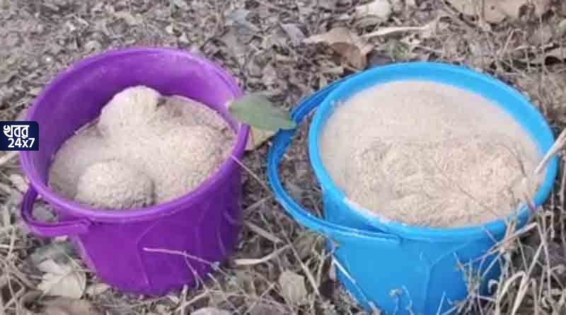 ফের বীরভূম থেকে উদ্ধার বিপুল সংখ্যক বোমা, পঞ্চায়েত নির্বাচনের আগে চরম আতঙ্ক অনুব্রতর গড়ে ফের বীরভূম থেকে উদ্ধার বিপুল সংখ্যক বোমা, পঞ্চায়েত নির্বাচনের আগে চরম আতঙ্ক অনুব্রতর গড়ে