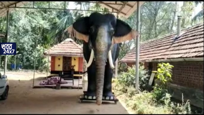ভাঙল দীর্ঘদিনের প্রথা! জ্যান্ত নয়, এবার রোবট হাতি দিয়ে চলবে নানান ধর্মীয় আচার-অনুষ্ঠান, দুর্ঘটনা এড়াতে সিদ্ধান্ত নিল কেরলের এই মন্দির ভাঙল দীর্ঘদিনের প্রথা! জ্যান্ত নয়, এবার রোবট হাতি দিয়ে চলবে নানান ধর্মীয় আচার-অনুষ্ঠান, দুর্ঘটনা এড়াতে সিদ্ধান্ত নিল কেরলের এই মন্দির
