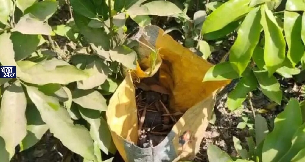 রাজ্যে ফের উদ্ধার ৭টি তাজা বোমা, প্রবল আতঙ্কে মুর্শিদাবাদের বাসিন্দারা, পঞ্চায়েত নির্বাচনের আগে আতঙ্ক তৈরির চেষ্টা? রাজ্যে ফের উদ্ধার ৭টি তাজা বোমা, প্রবল আতঙ্কে মুর্শিদাবাদের বাসিন্দারা, পঞ্চায়েত নির্বাচনের আগে আতঙ্ক তৈরির চেষ্টা?