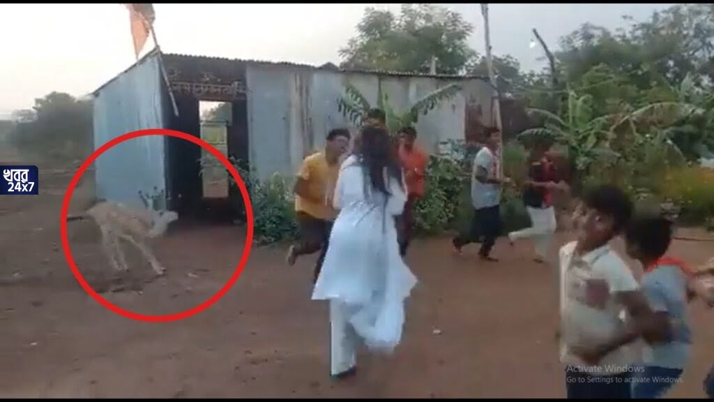 কৃষ্ণসারের কৃষ্ণপ্রেম! কৃষ্ণ কীর্তনের তালে তালে নাচল কৃষ্ণসার হরিণ, দৃশ্য দেখে আপ্লুত নেটবাসী, পুরাণের কথা মনে করাল ভাইরাল ভিডিও কৃষ্ণসারের কৃষ্ণপ্রেম! কৃষ্ণ কীর্তনের তালে তালে নাচল কৃষ্ণসার হরিণ, দৃশ্য দেখে আপ্লুত নেটবাসী, পুরাণের কথা মনে করাল ভাইরাল ভিডিও