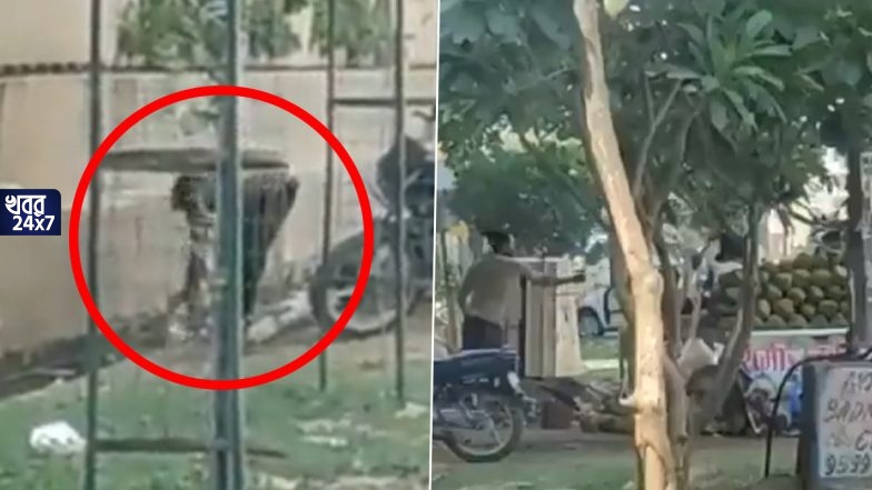 নর্দমার জল দিয়েই ধোয়া হচ্ছে ডাব, ভিডিও ভাইরাল হতেই বিক্রেতাকে গ্রেফতার করল পুলিশ নর্দমার জল দিয়েই ধোয়া হচ্ছে ডাব, ভিডিও ভাইরাল হতেই বিক্রেতাকে গ্রেফতার করল পুলিশ