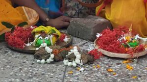 তীব্র দাবদাহে পুড়ছে বাংলা, একফোঁটা বৃষ্টির জন্য প্রাণ ওষ্ঠাগত বঙ্গবাসীর, বরুণদেবকে তুষ্ট করতে দেওয়া হল ব্যাঙের বিয়ে, বৃষ্টি কী নামবে ঝমঝমিয়ে?