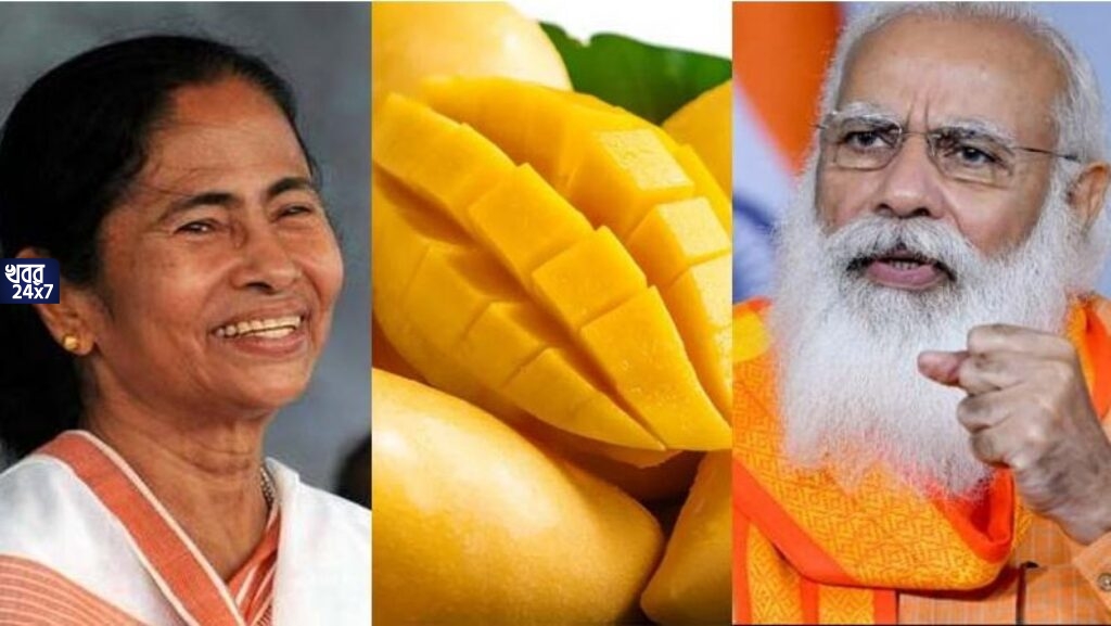 রাজনৈতিক সংঘাত অব্যাহত, এর মধ্যেই সৌজন্যতা মমতার, ডালি ভরে মোদীকে বাংলার আম উপহার পাঠালেন মুখ্যমন্ত্রী