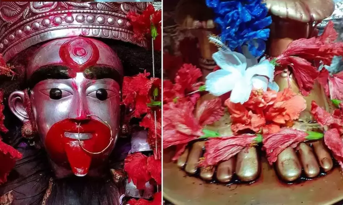 Kaushiki Amavasya, Zodiac Signs, benefits, money, luck, astrology