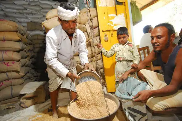 Food Minister Made Big Announcement about Ration, Food Minister, ration, ration card, big announcement, works, app, online