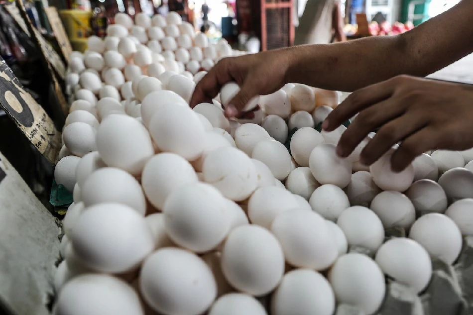 eggs, price hike, ‬ ‪‎West Bengal, egg demand, egg lover, reason of price hike