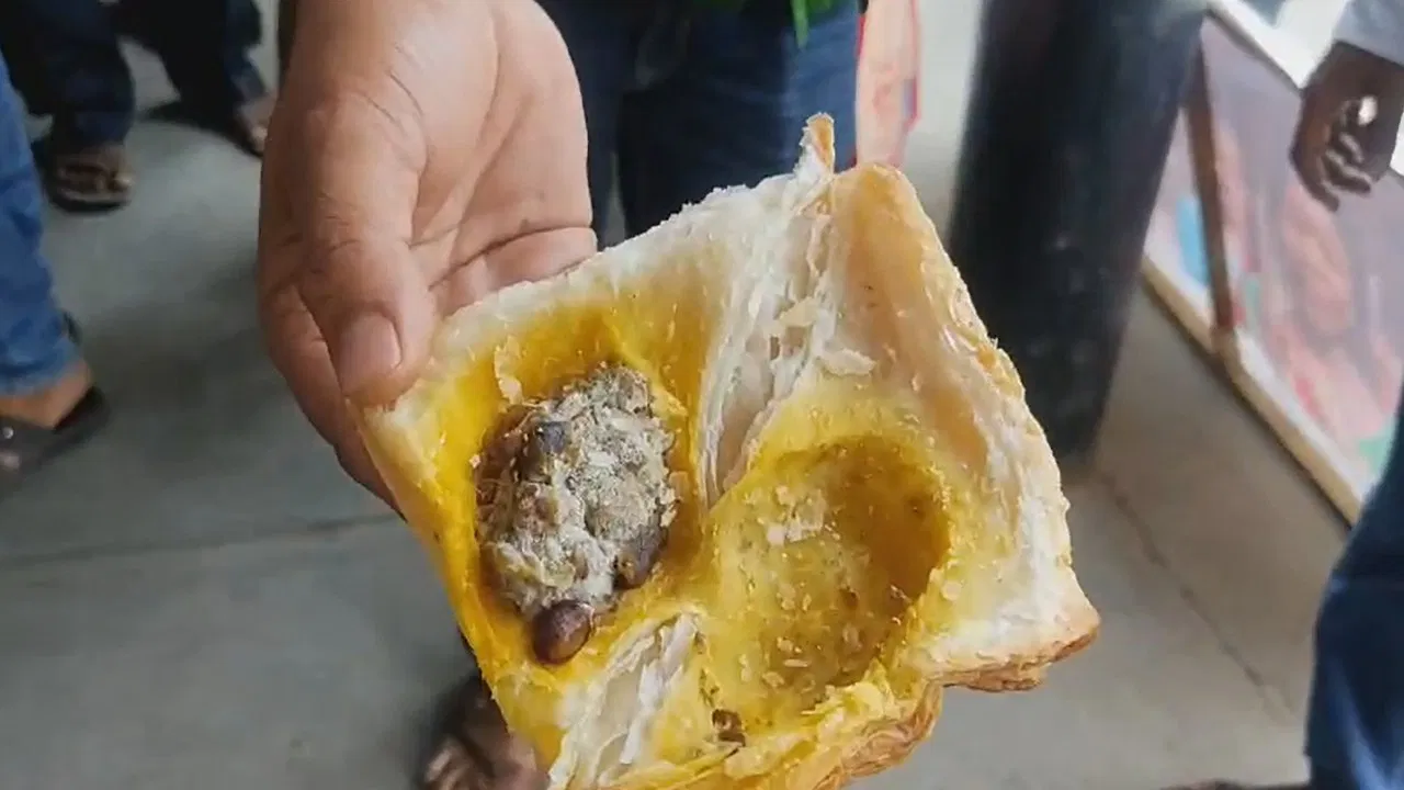 Insects in food of poll workers, insects, presiding officers, expired food, Bankura, protest, cut money, controversy