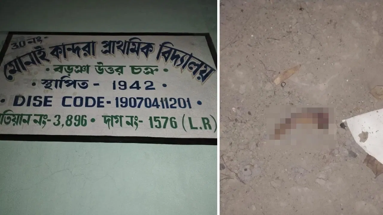 Bomb Explosion in Murshidabad, TMC worker, injured, Murshidabad, bomb blast, 2024 Lok Sabha Election,