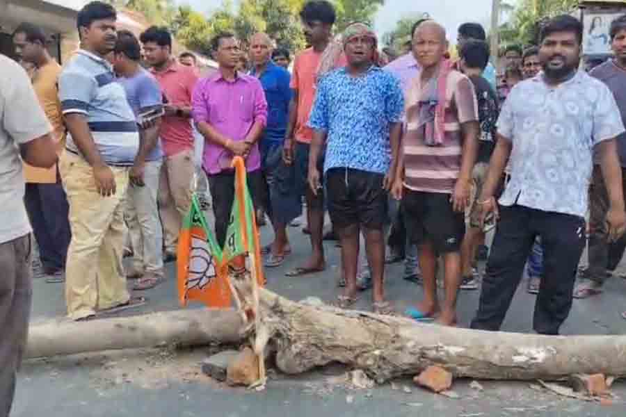 Female BJP worker was murdered in Nandigram, BJP Workers, attacked, injured, death, Nandigram, TMC, accused, 2024 Lok Sabha Election,