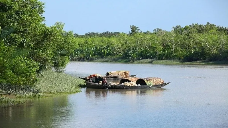 Forest Officer shot death in Sundarban, forest officer, shot, death, Bangladeshi poachers, investigation, security