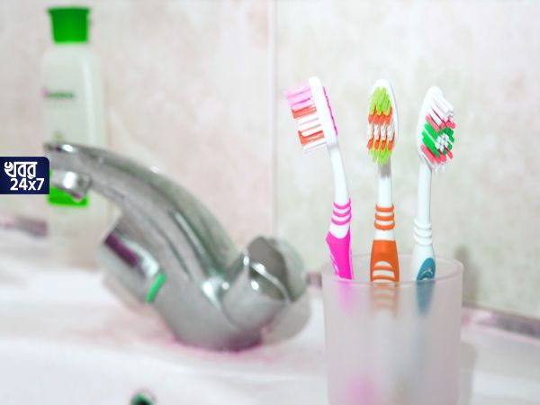 Toothbrush, doctors, research, fresh air, brush holder, bathroom, বাথরুম, ব্রাশ