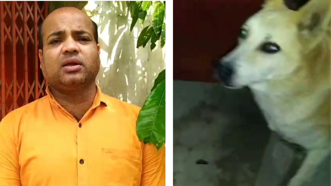 TMC is accused in attacking BJP Leader house, post poll violence, TMC, BJP Leader, attacked, accusation